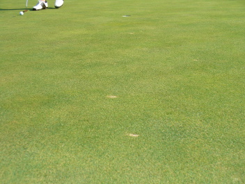 2006-09-27 16-17-24.JPG